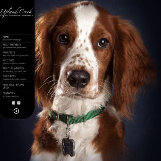 web design hamilton for uplandcreek