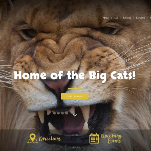 Killman-Zoo web design hamilton for Killman-Zoo