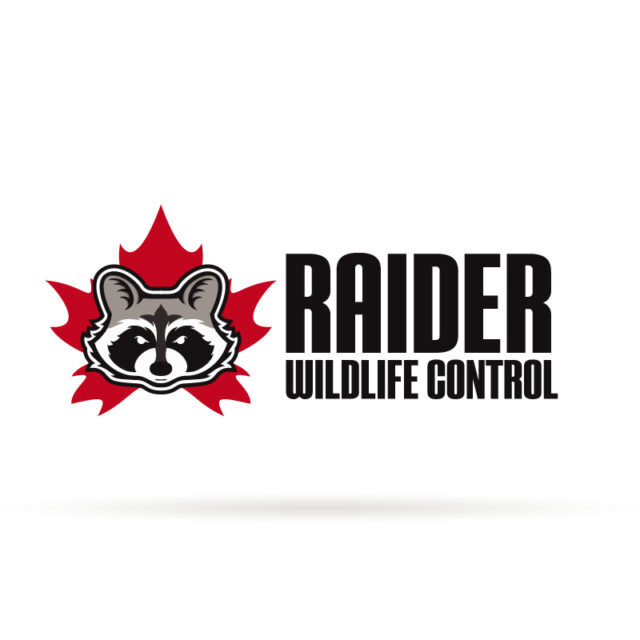 Raider-WildLife-Control logo design Raider Wildlife Control
