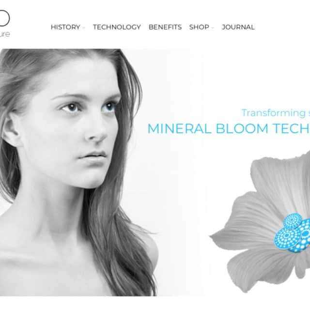 nuvsio-start-pure web design hamilton for nuvsio-start-pure