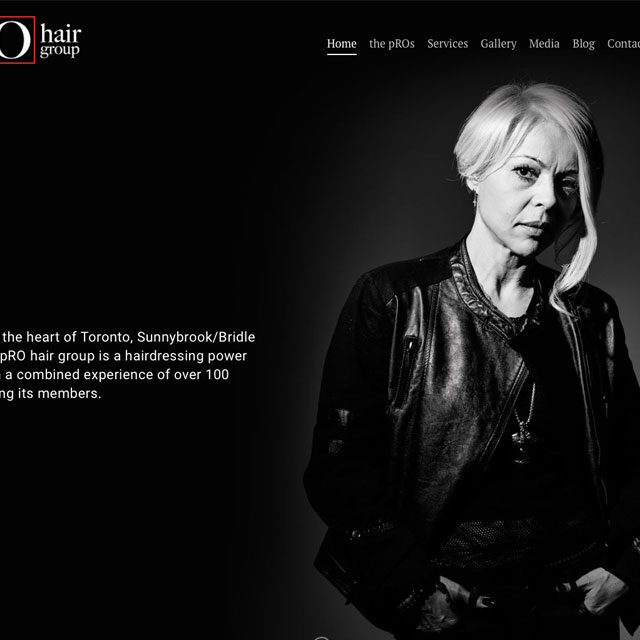 web design hamilton for pRO Hair Group